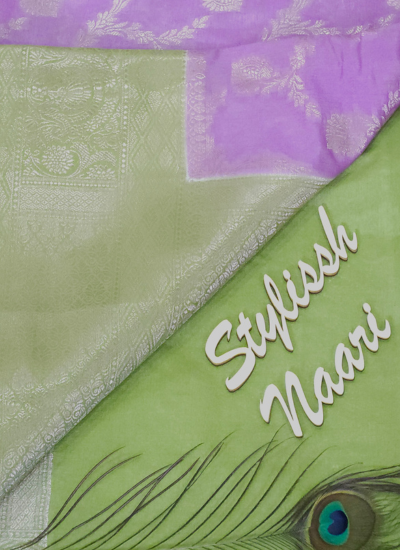 Semi Banarasi Chiniya Silk Saree - SBCS_0004